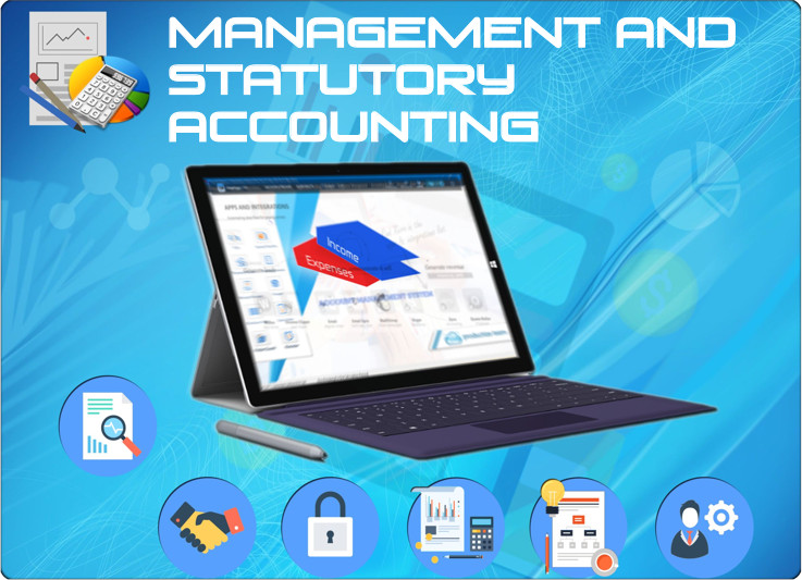 Management & Statutory Accounting Software